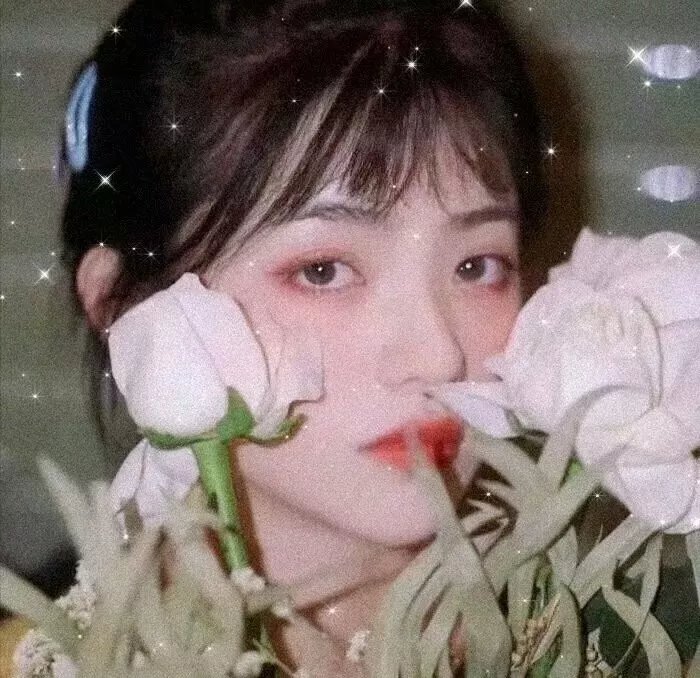 划桨去看海