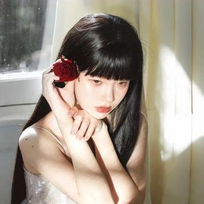 吐崽子